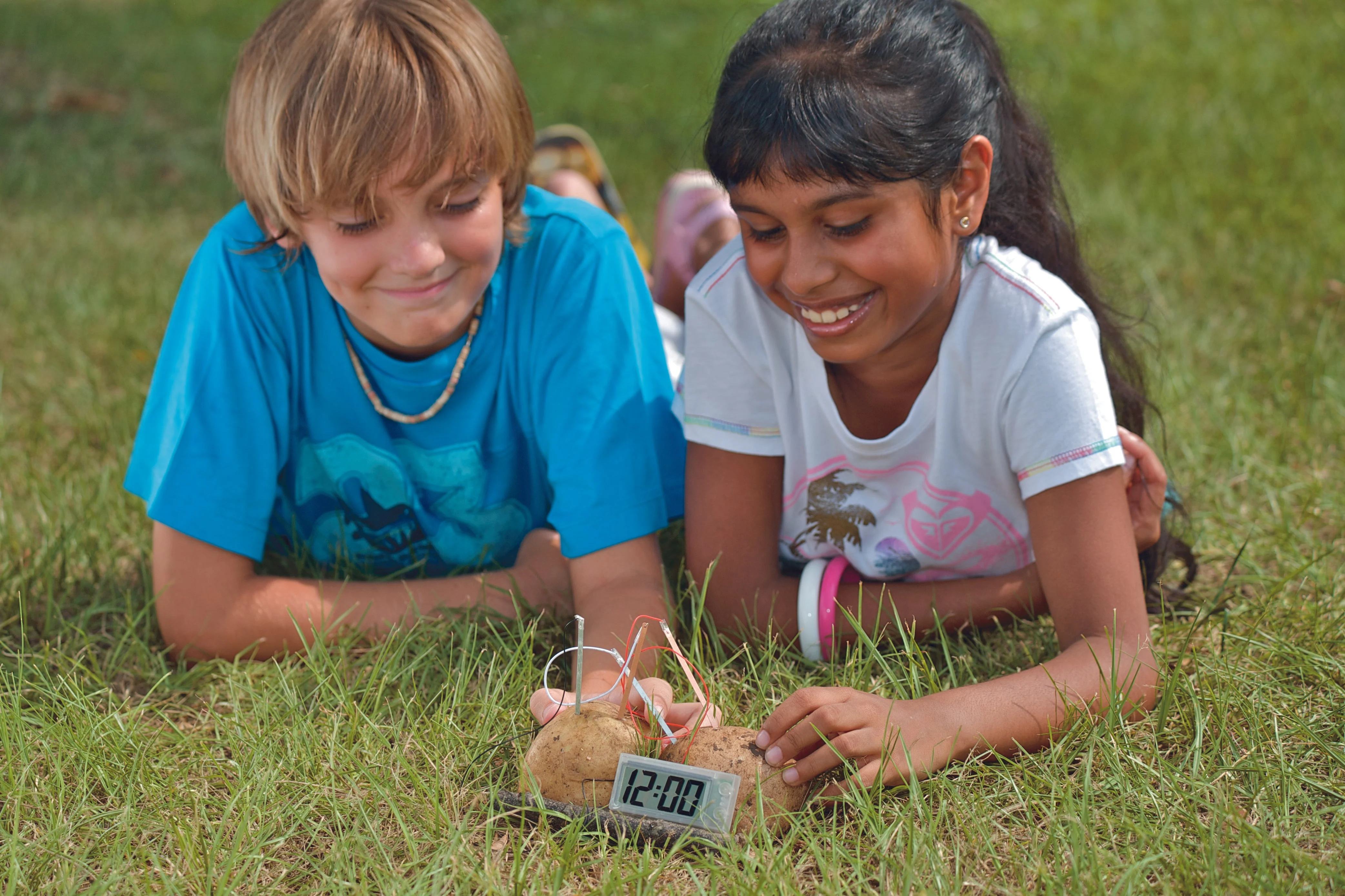 4M Green Science Potato Clock - Image 2