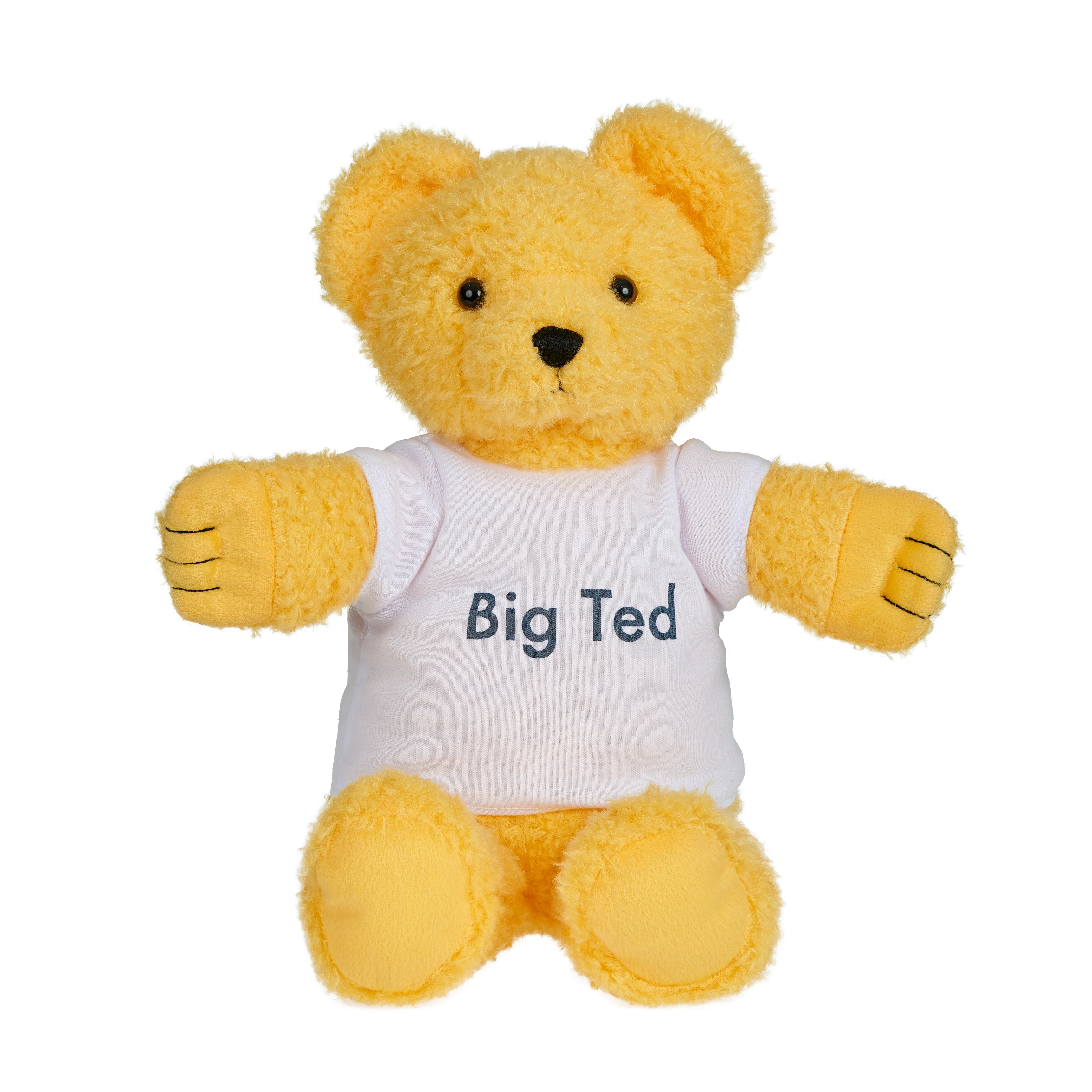 Play School Plush - Big Ted 30cm