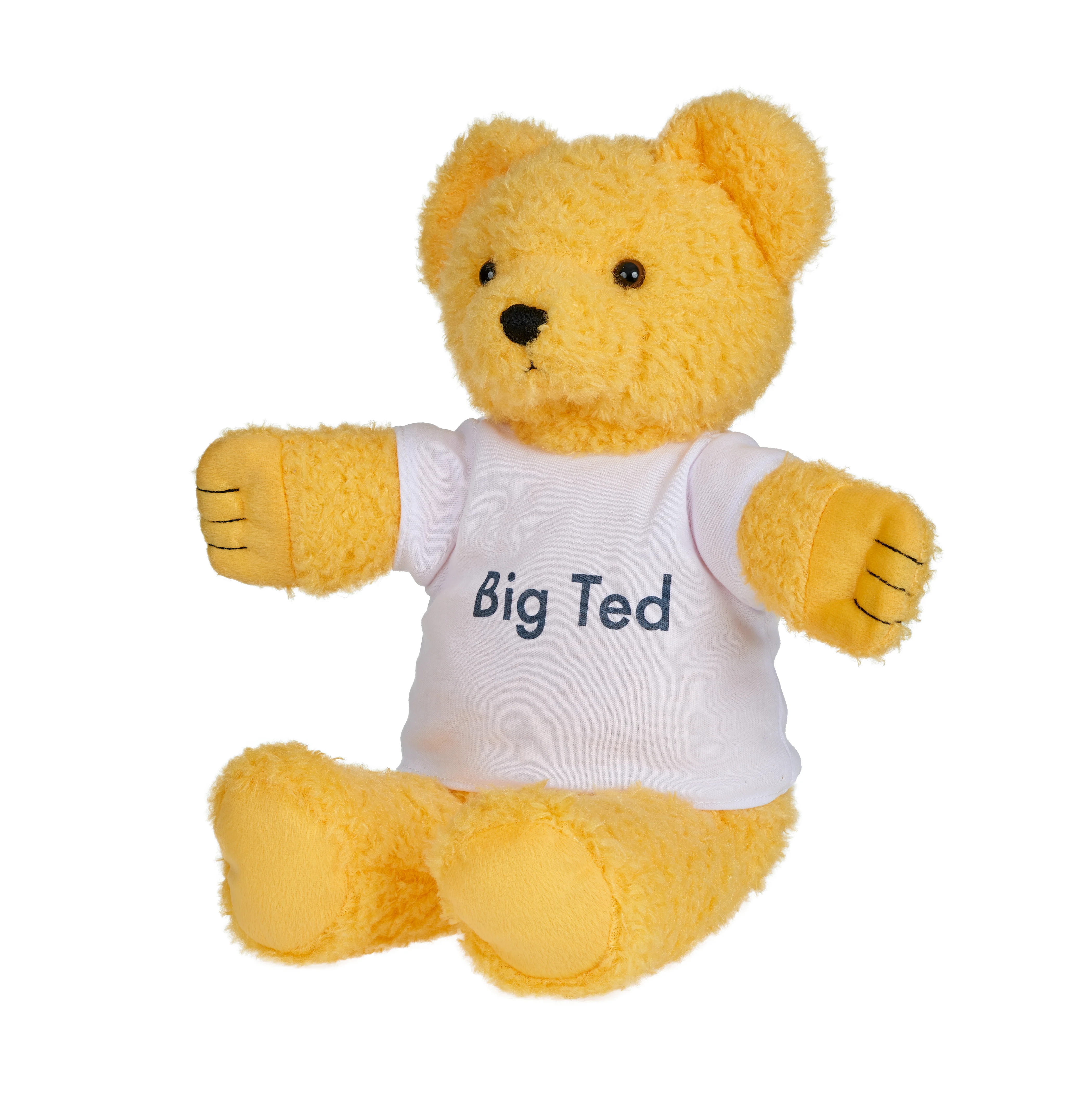 Play School Plush - Big Ted 30cm - Image 2