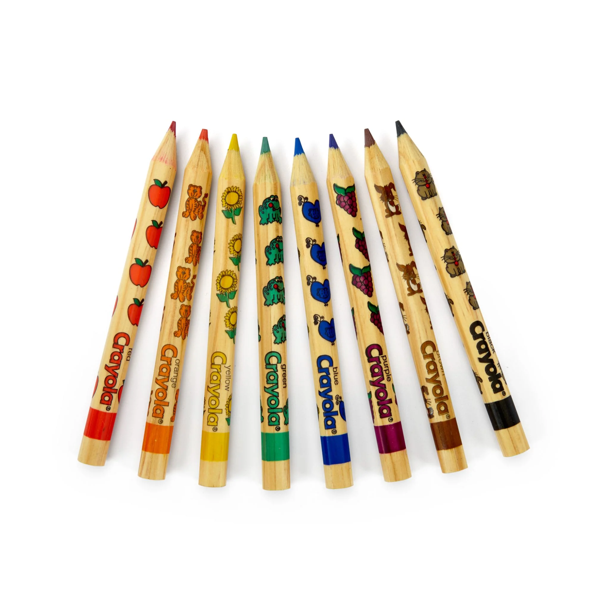 Crayola Write Start Coloured Pencils 8 Pack - Image 2