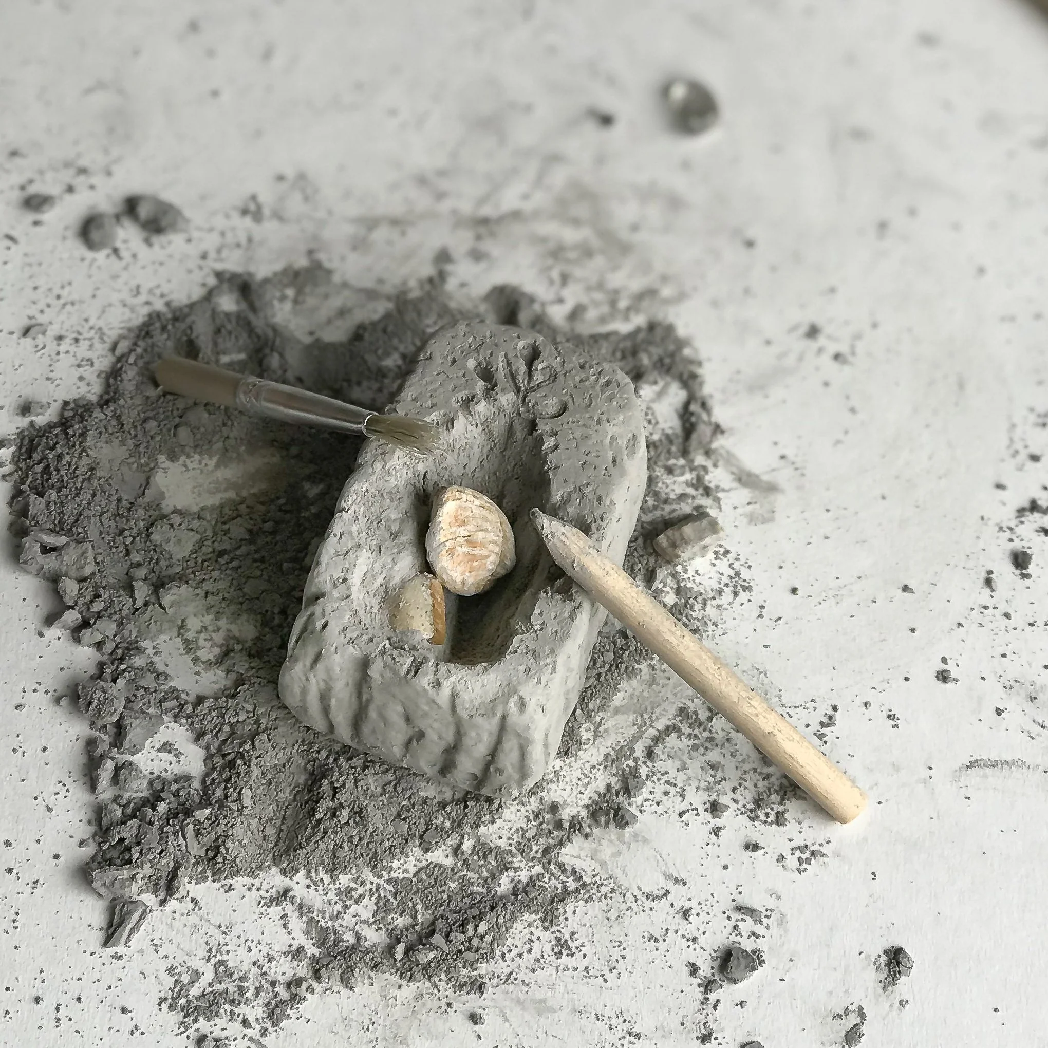 Heebie Jeebies Fossil Dig Paleontology Kit - Image 3