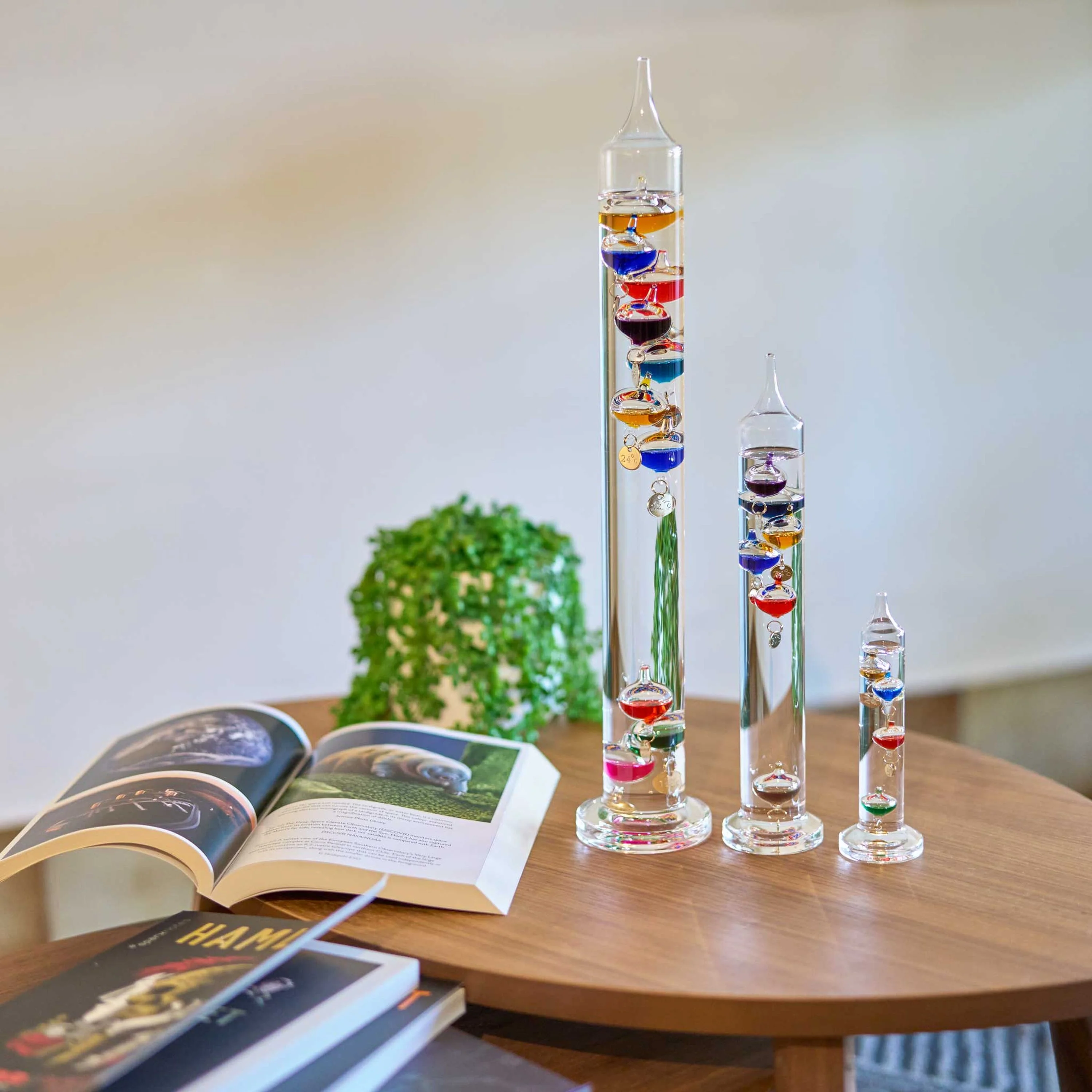 Heebie Jeebies Mini Galileo Thermometer - Image 5