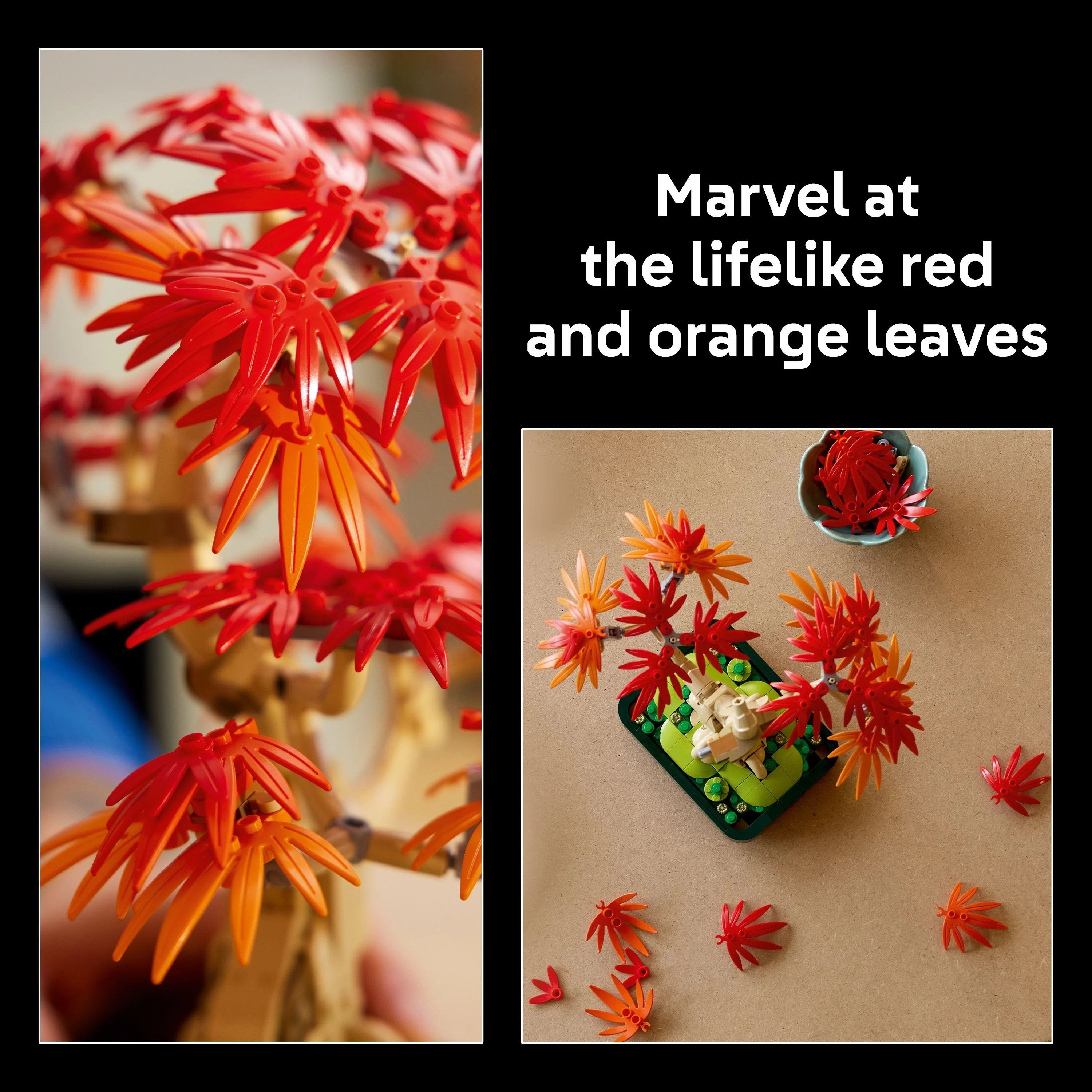 LEGO 10348 Botanicals Japanese Red Maple Bonsai Tree - Image 6
