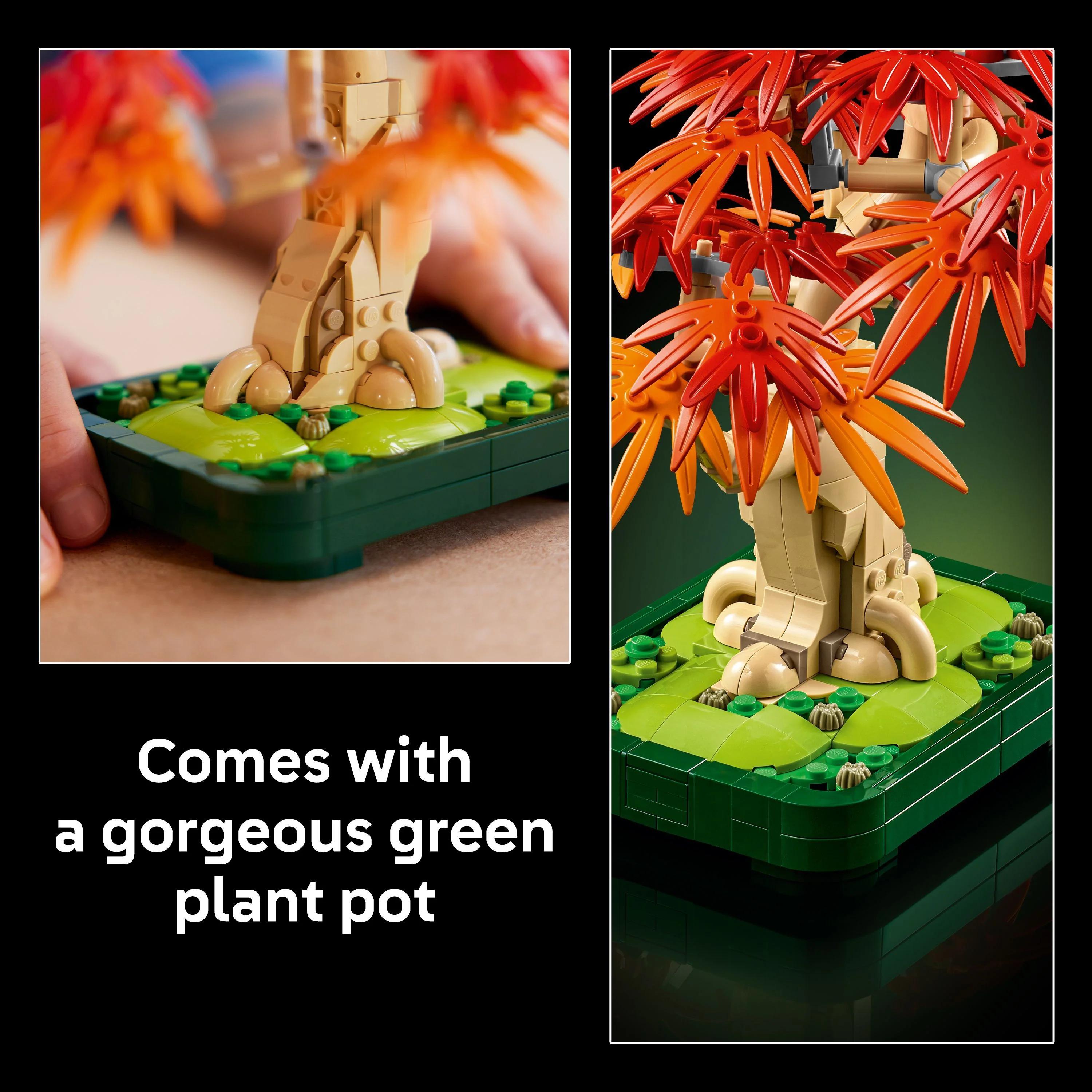 LEGO 10348 Botanicals Japanese Red Maple Bonsai Tree - Image 7