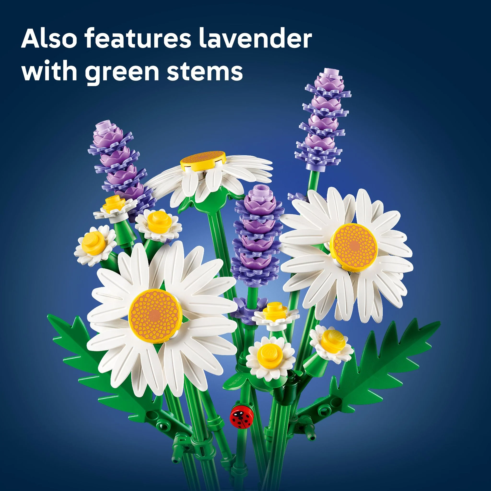 LEGO 11508 Botanicals Daisies - Image 6