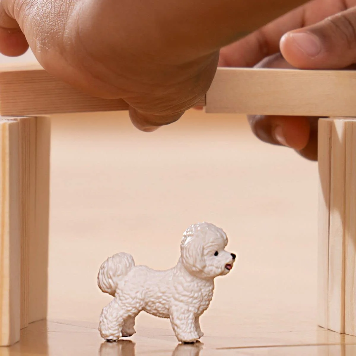 Schleich Bichon Frise - Image 2