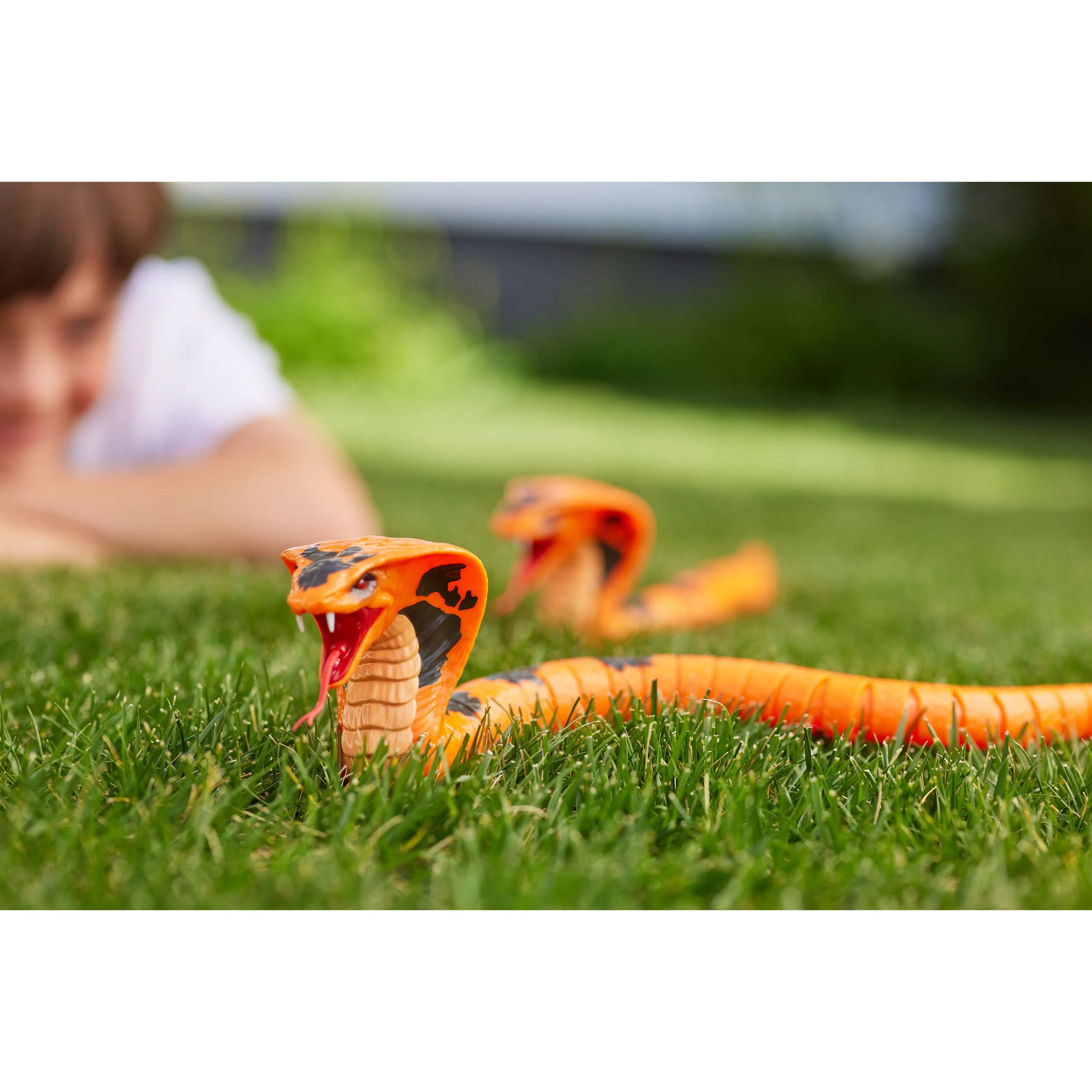 ZURU Robo Alive King Cobra - Image 6